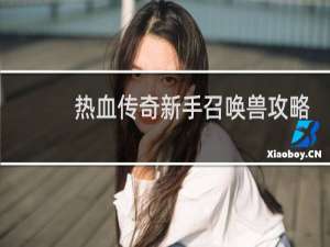 热血传奇新手召唤兽攻略