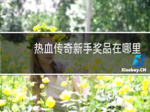 熱血傳奇新手獎品在哪里