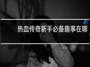 热血传奇新手必备趣事在哪