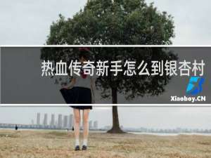 热血传奇新手怎么到银杏村