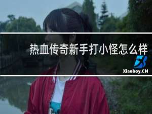 热血传奇新手打小怪怎么样