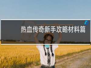 热血传奇新手攻略材料篇