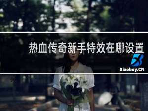 熱血傳奇新手特效在哪設(shè)置