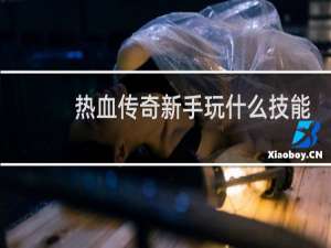 热血传奇新手玩什么技能