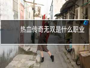 热血传奇无双是什么职业
