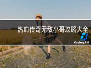 热血传奇无敌小哥攻略大全