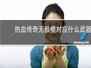 热血传奇无极棍对应什么武器