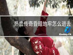 热血传奇昏暗地牢怎么进去