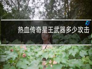 热血传奇星王武器多少攻击