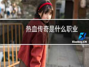 热血传奇是什么职业