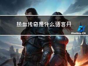 热血传奇是什么语言开发