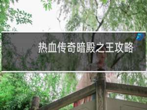 热血传奇暗殿之王攻略