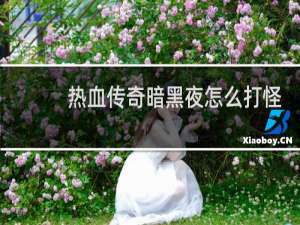 热血传奇暗黑夜怎么打怪