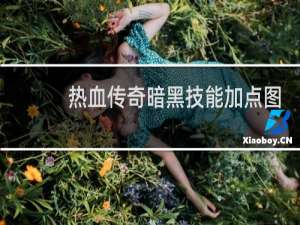 热血传奇暗黑技能加点图