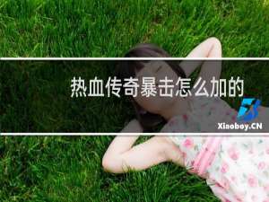 热血传奇暴击怎么加的