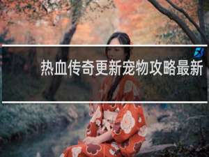 热血传奇更新宠物攻略最新