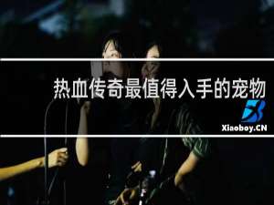 热血传奇最值得入手的宠物