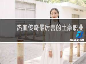 热血传奇最厉害的土豪职业
