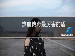 热血传奇最厉害的盾