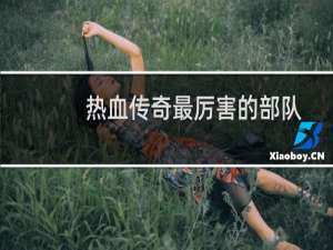 热血传奇最厉害的部队