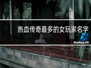 热血传奇最多的女玩家名字