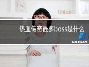 热血传奇最多boss是什么