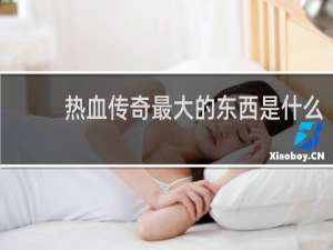 热血传奇最大的东西是什么