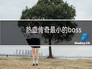 热血传奇最小的boss