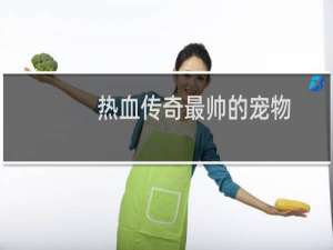 热血传奇最帅的宠物