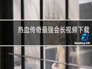 热血传奇最强会长视频下载