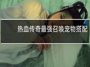 热血传奇最强召唤宠物搭配