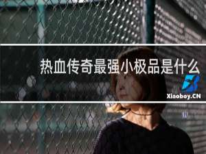 热血传奇最强小极品是什么