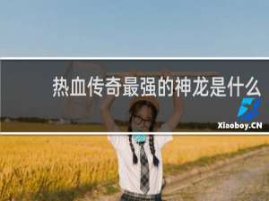 热血传奇最强的神龙是什么