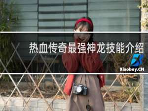 热血传奇最强神龙技能介绍