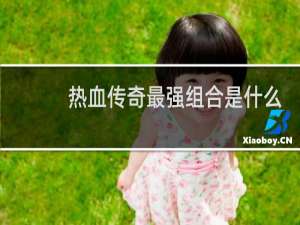 热血传奇最强组合是什么