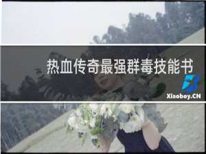 热血传奇最强群毒技能书