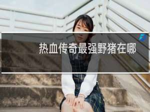 热血传奇最强野猪在哪