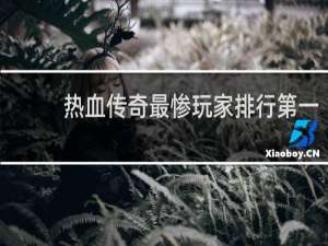 热血传奇最惨玩家排行第一
