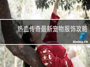 热血传奇最新宠物服饰攻略