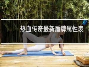 热血传奇最新盾牌属性表