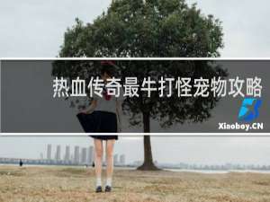 热血传奇最牛打怪宠物攻略