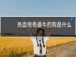 热血传奇最牛的狗是什么