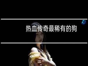 热血传奇最稀有的狗