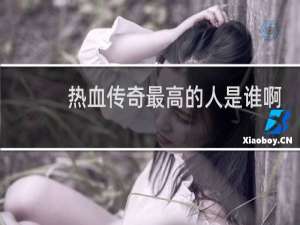 热血传奇最高的人是谁啊