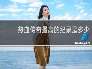 热血传奇最高的纪录是多少