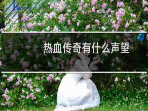 热血传奇有什么声望