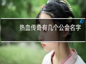 热血传奇有几个公会名字