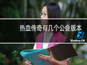 热血传奇有几个公会版本