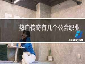 热血传奇有几个公会职业