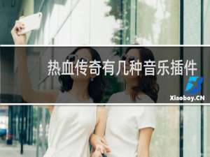 热血传奇有几种音乐插件